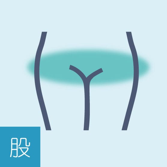 股関節