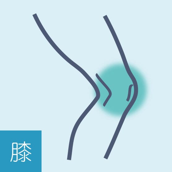 膝